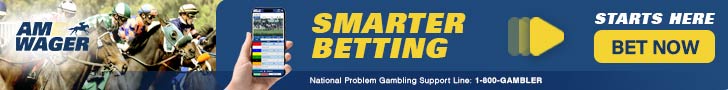 Top Banner Ad